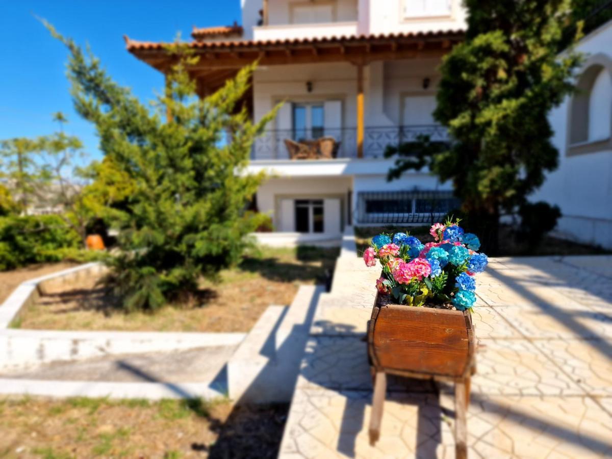 Villa Liana : Luxury Villa With Fantastic Sea View, Near Airport Pórto Ráfti 외부 사진
