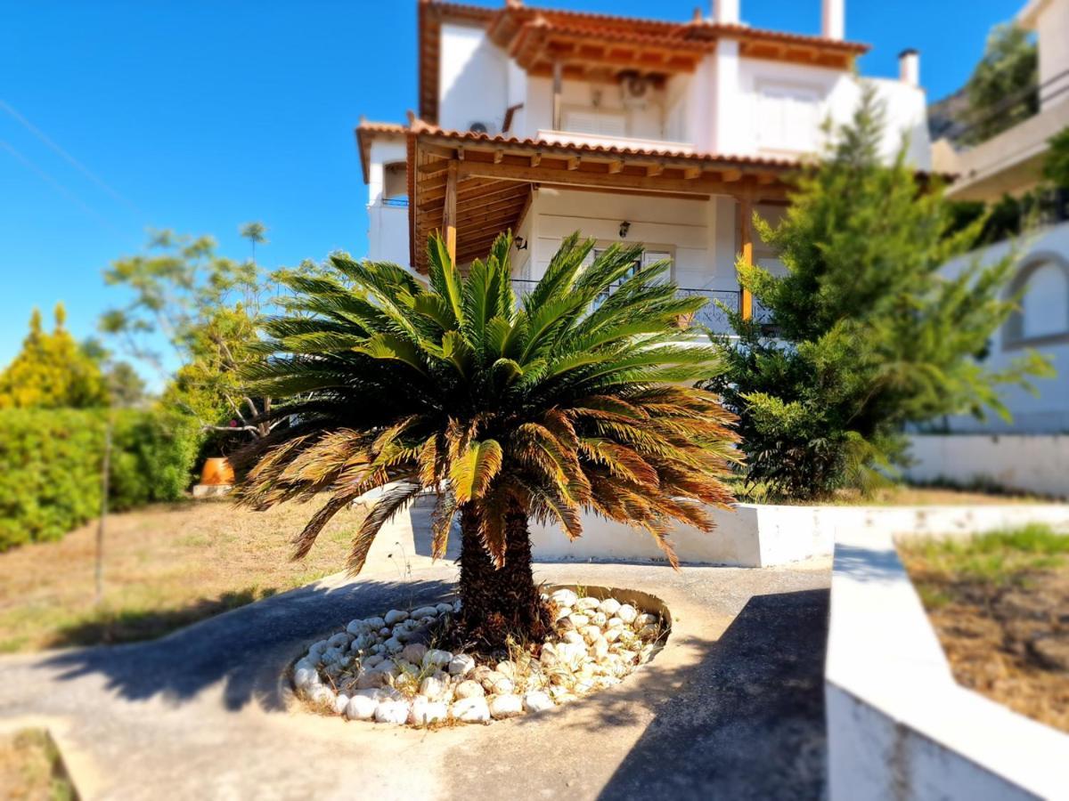 Villa Liana : Luxury Villa With Fantastic Sea View, Near Airport Pórto Ráfti 외부 사진