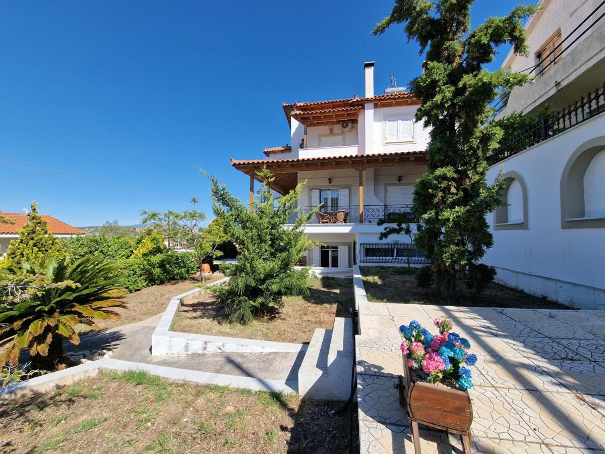 Villa Liana : Luxury Villa With Fantastic Sea View, Near Airport Pórto Ráfti 외부 사진