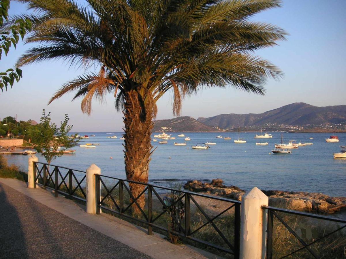 Villa Liana : Luxury Villa With Fantastic Sea View, Near Airport Pórto Ráfti 외부 사진